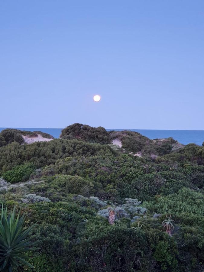 House Haven Guesthouse Port Elizabeth Zewnętrze zdjęcie