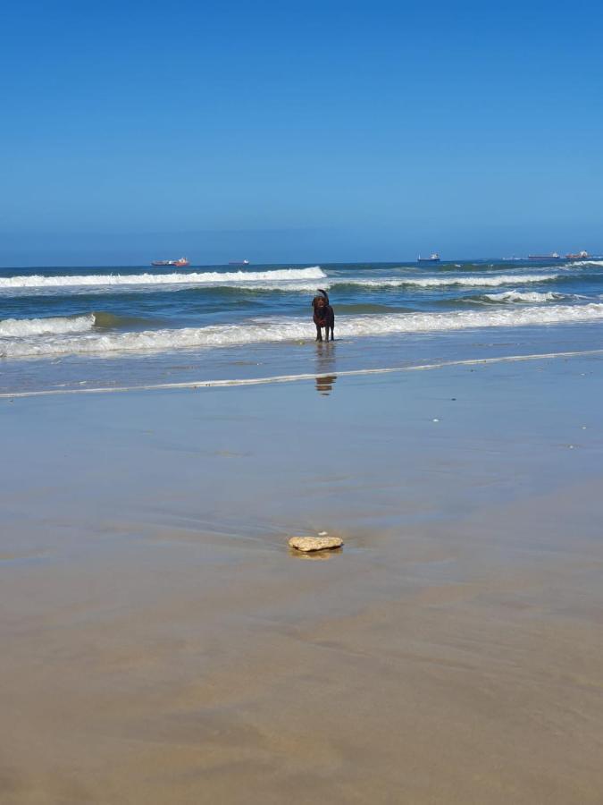 House Haven Guesthouse Port Elizabeth Zewnętrze zdjęcie
