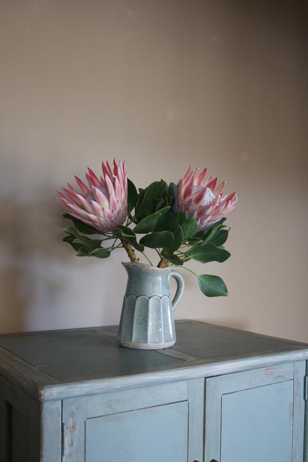 House Haven Guesthouse Port Elizabeth Zewnętrze zdjęcie