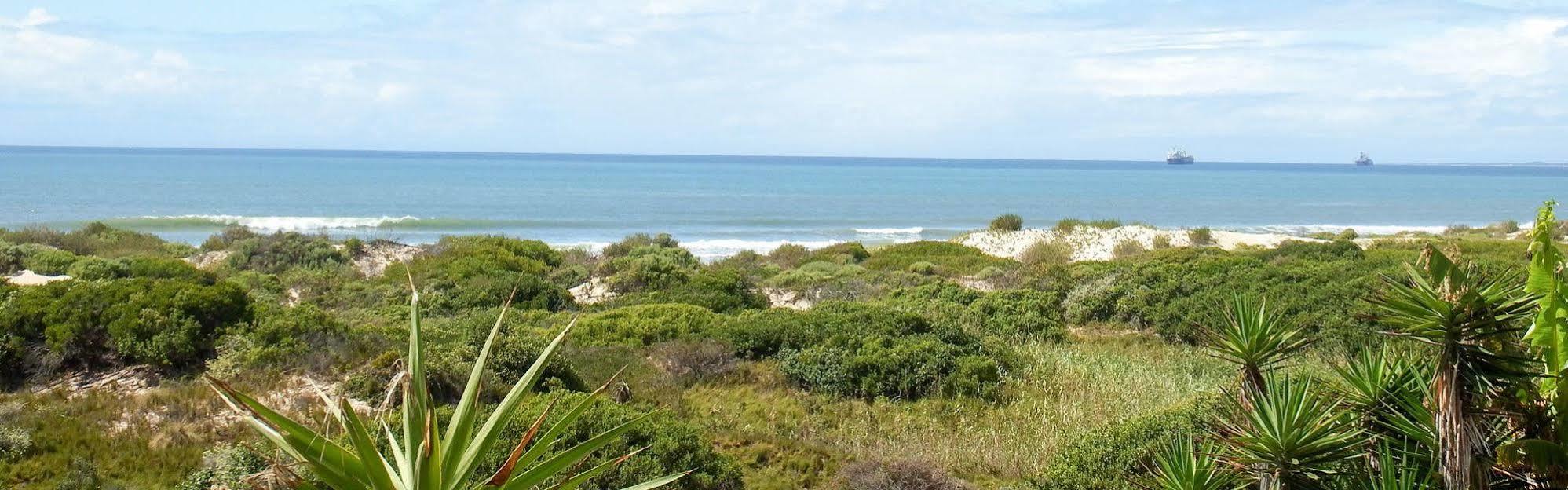 House Haven Guesthouse Port Elizabeth Zewnętrze zdjęcie